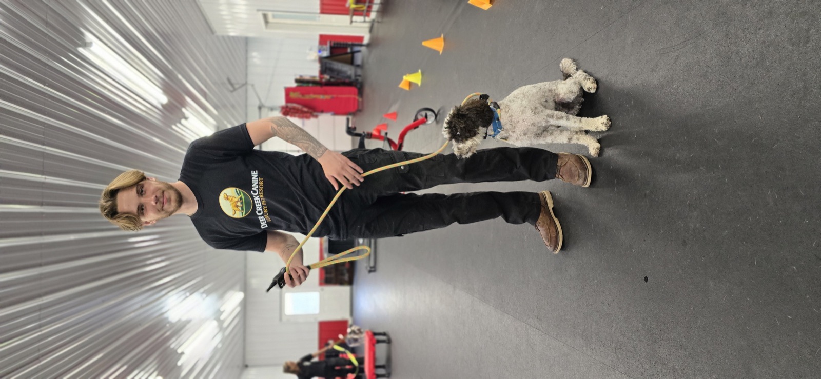 Indoor leash work with a standard poodle inside the Deer Creek facility